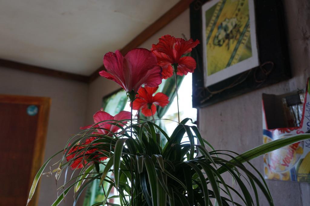 Naqalia Lodge Wayasewa Island Zewnętrze zdjęcie